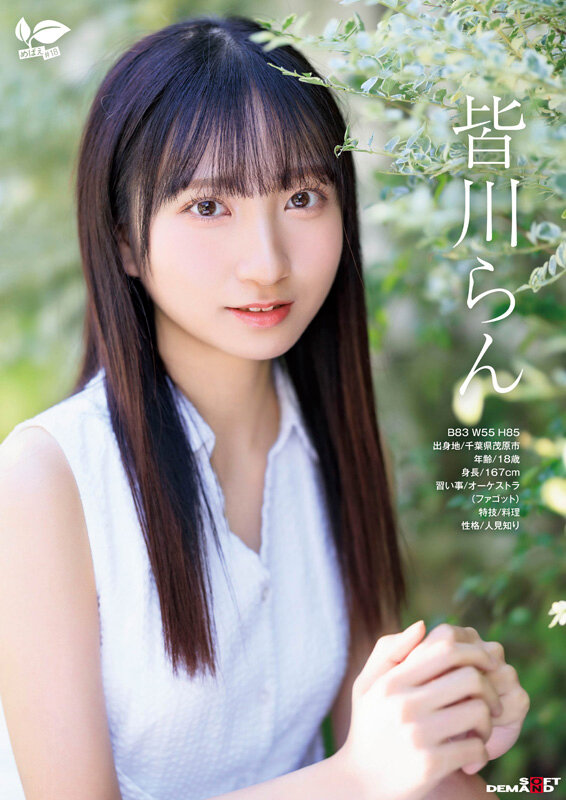 サンプル画像 3