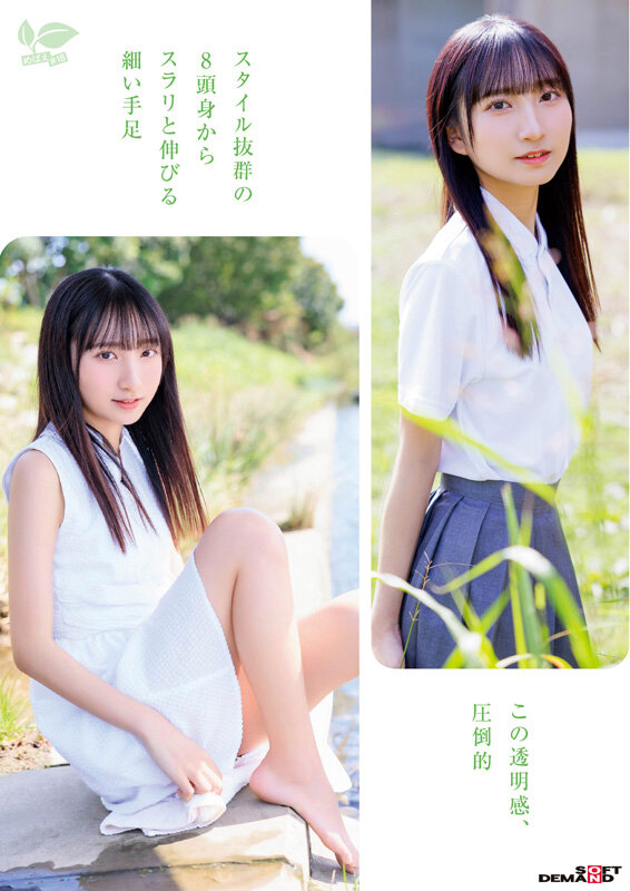 サンプル画像 4