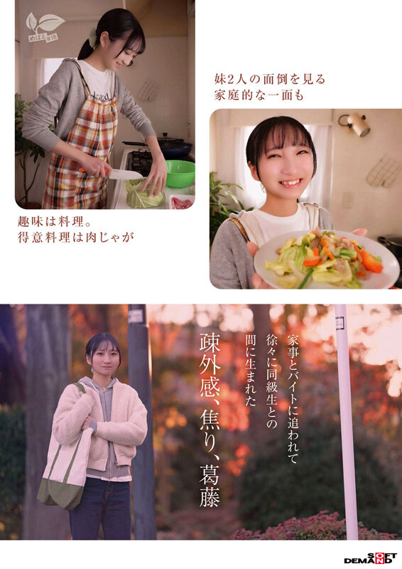 サンプル画像 5