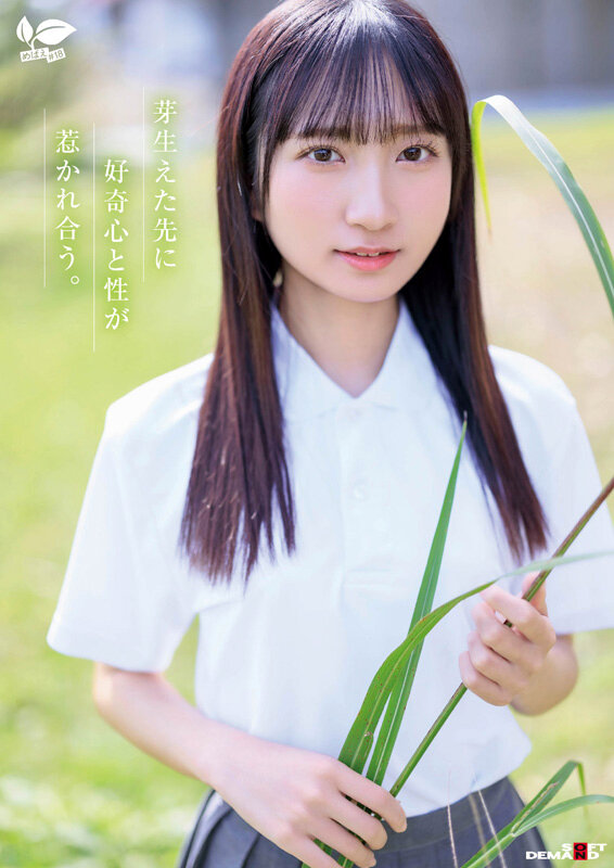 サンプル画像 7