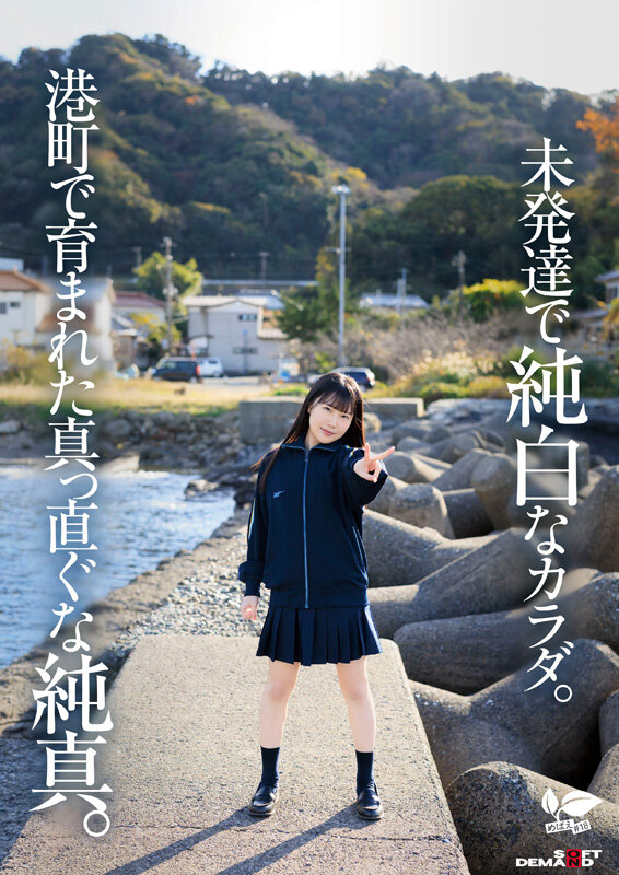 サンプル画像 4