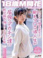 パッケージ画像