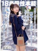 パッケージ画像