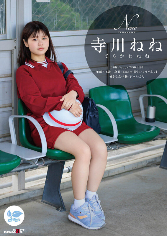 サンプル画像 3