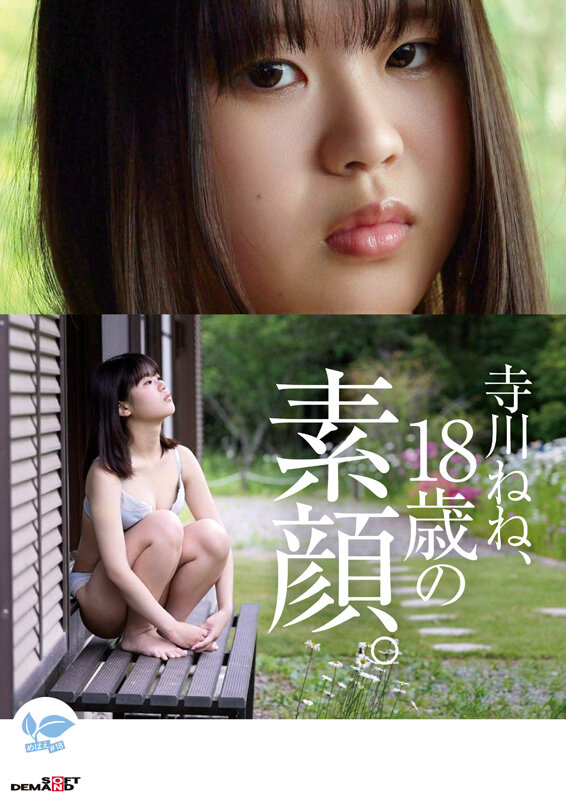 サンプル画像 9