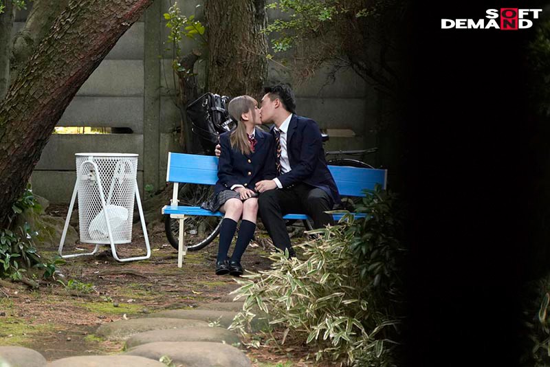 サンプル画像 6