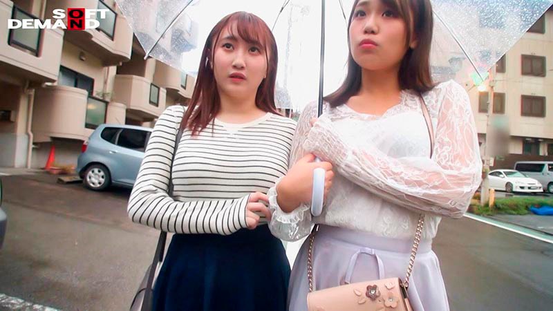 サンプル画像 15