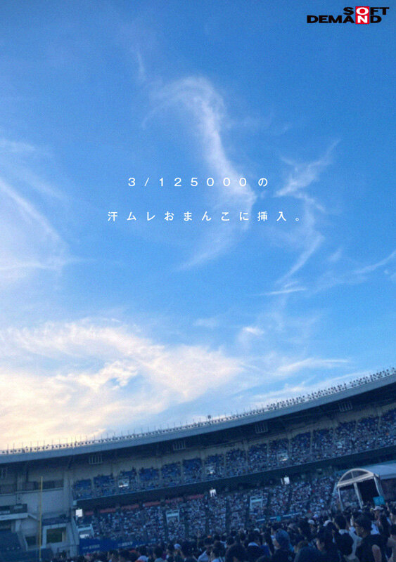 サンプル画像 12