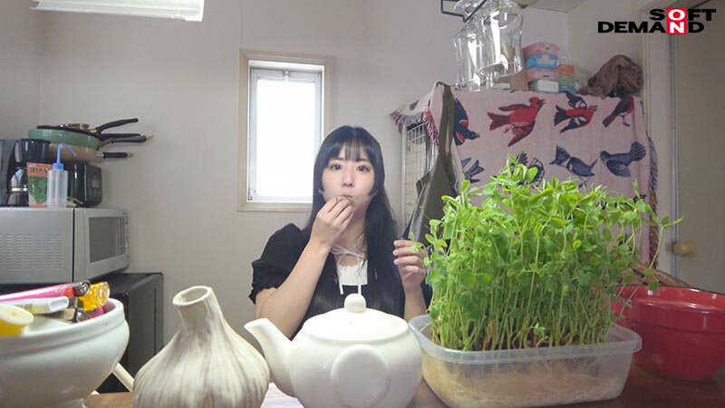 サンプル画像 15