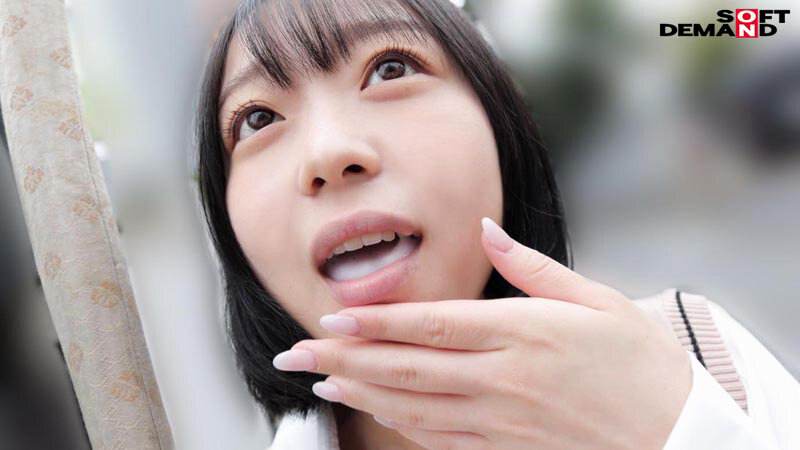 サンプル画像 12