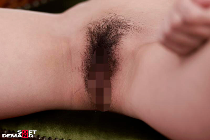 サンプル画像 5