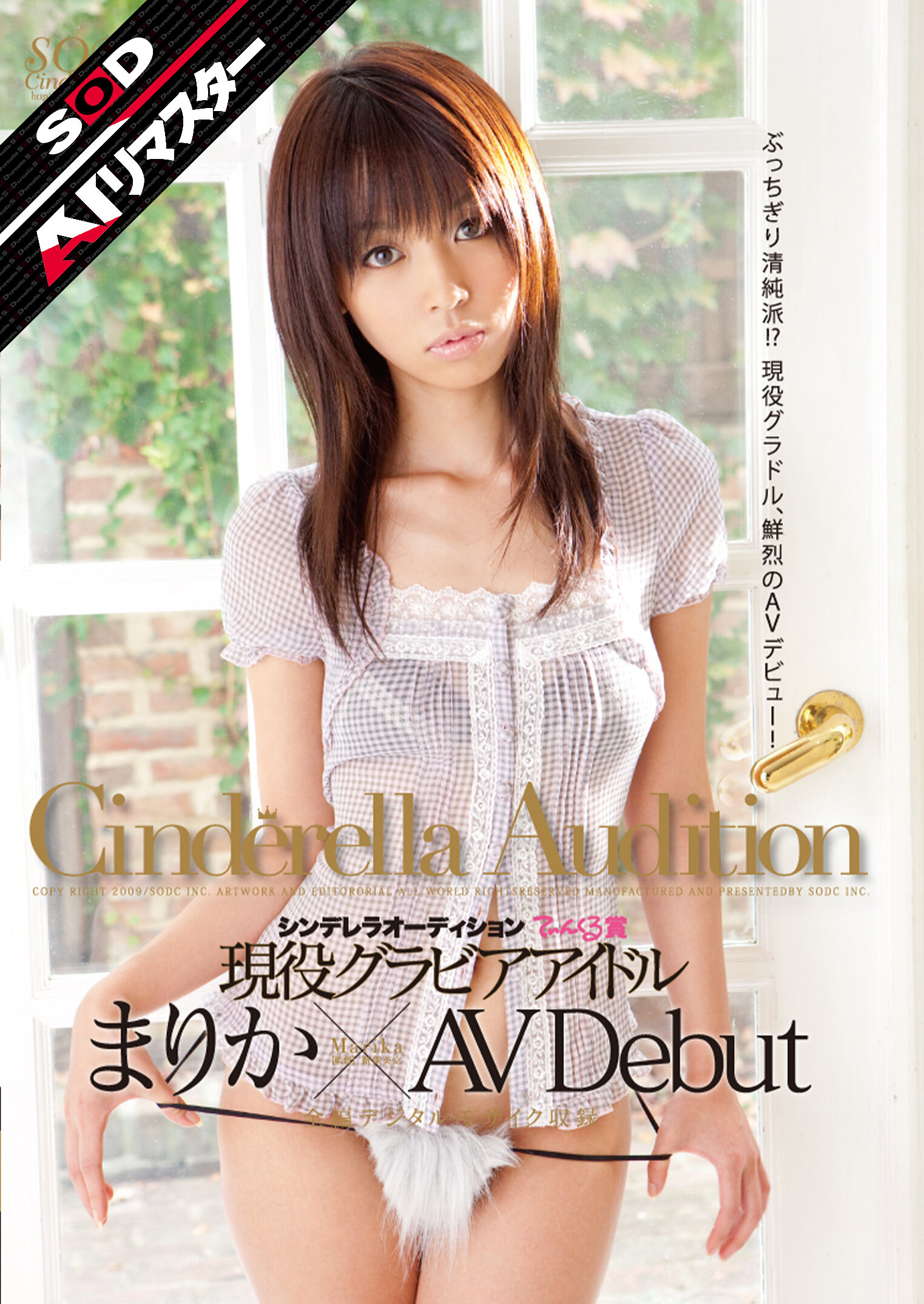 パッケージ画像