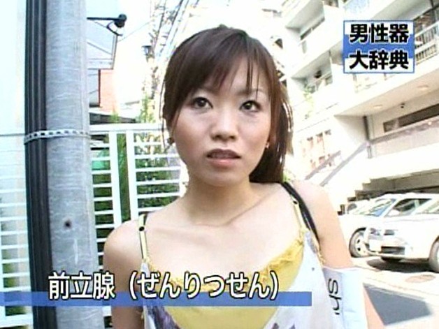 サンプル画像 17