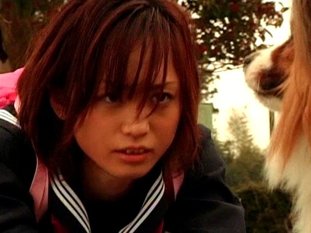 サンプル画像 13