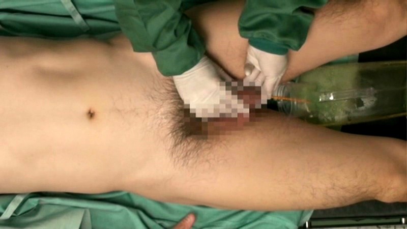 サンプル画像 11