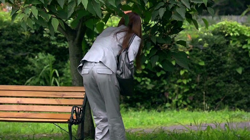 サンプル画像 13