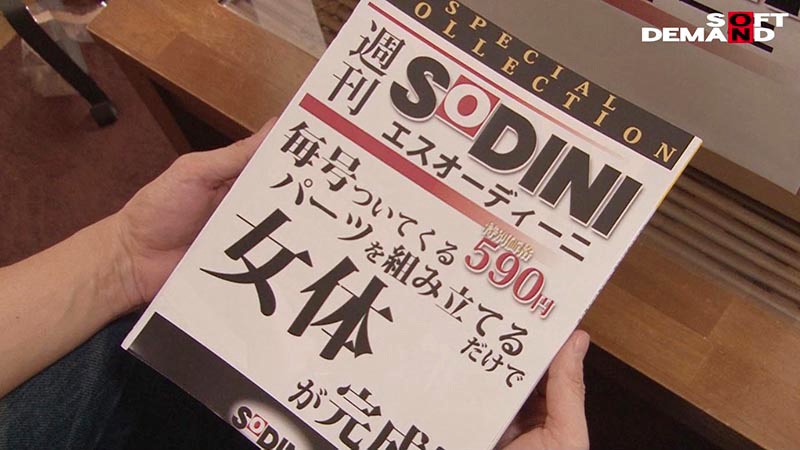 サンプル画像 3