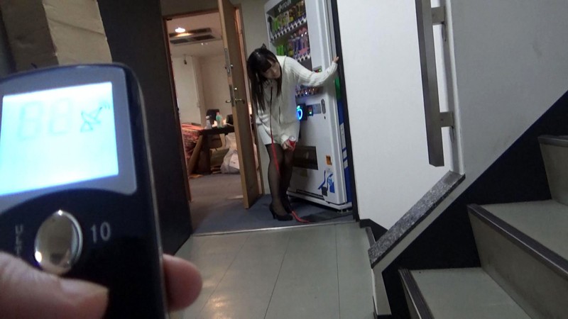 サンプル画像 12