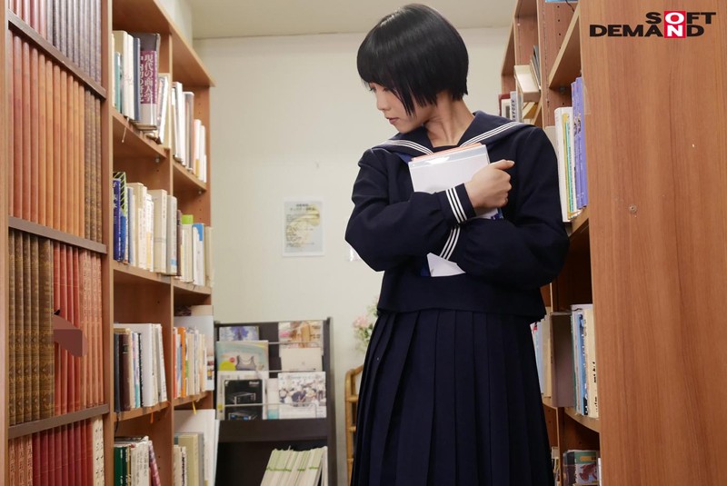 サンプル画像 8