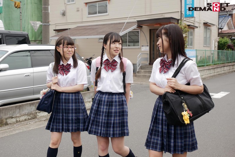 サンプル画像 3