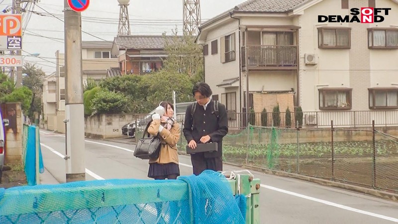 サンプル画像 7