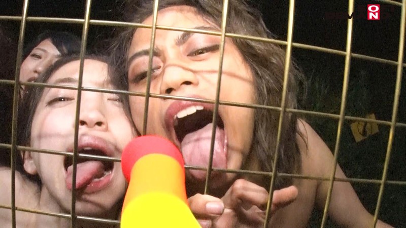 サンプル画像 8