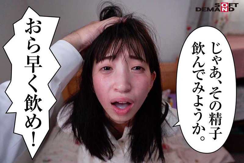 サンプル画像 11