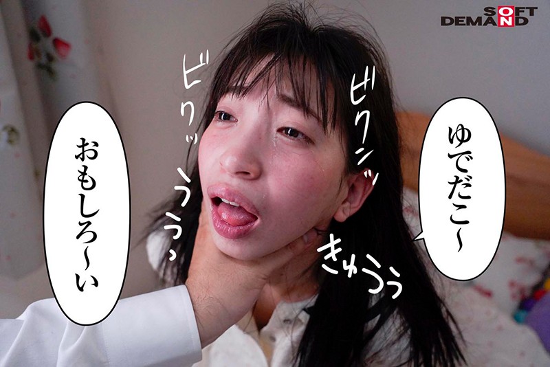 サンプル画像 12