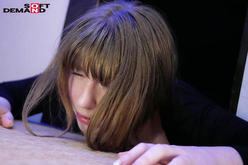 サンプル画像 13