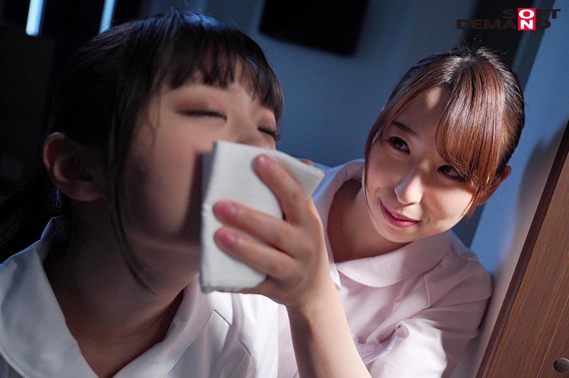 サンプル画像 11