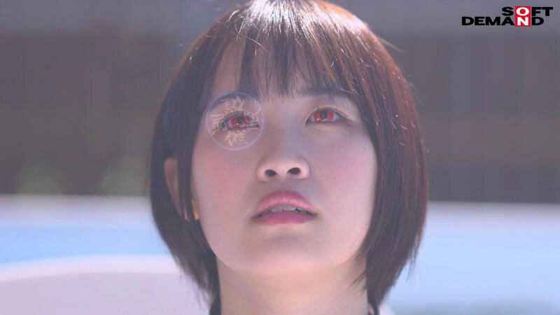 サンプル画像 8