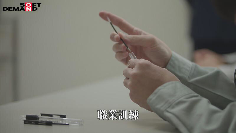 サンプル画像 5