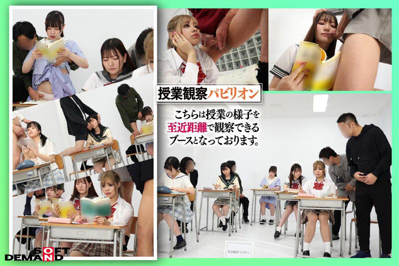 サンプル画像 6