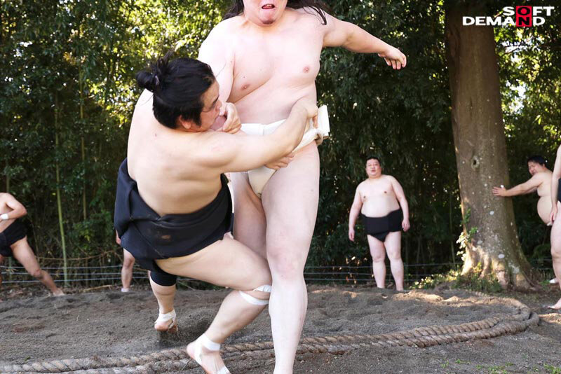 サンプル画像 9