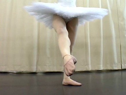 サンプル画像 5