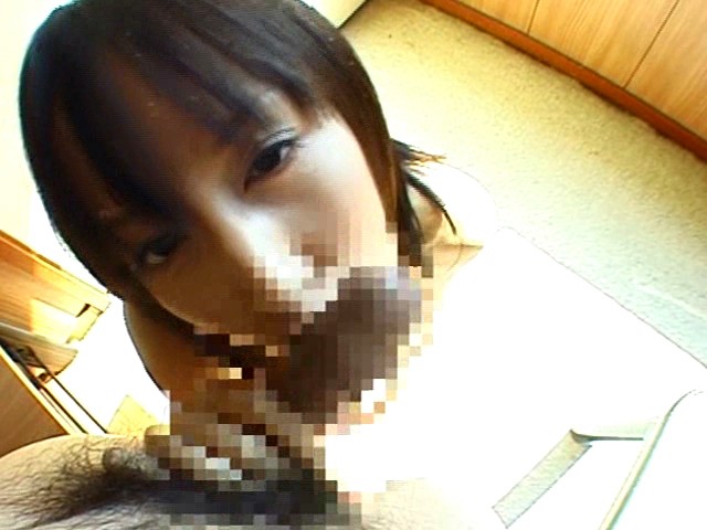 サンプル画像 13