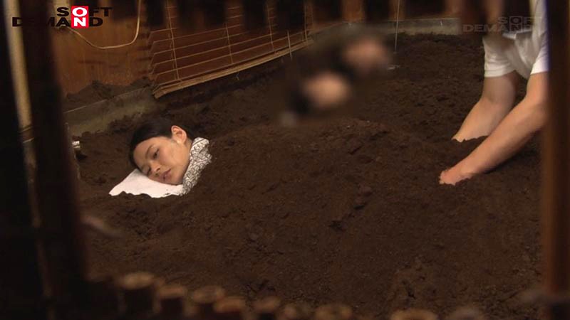 サンプル画像 5