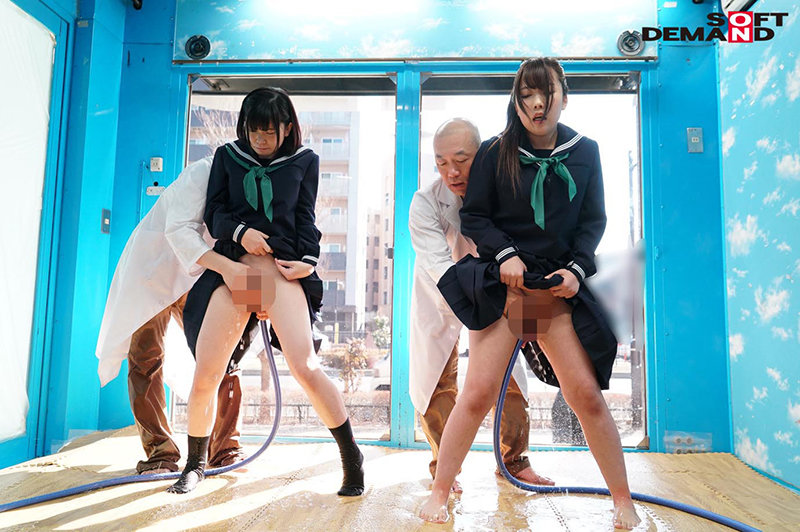 サンプル画像 3