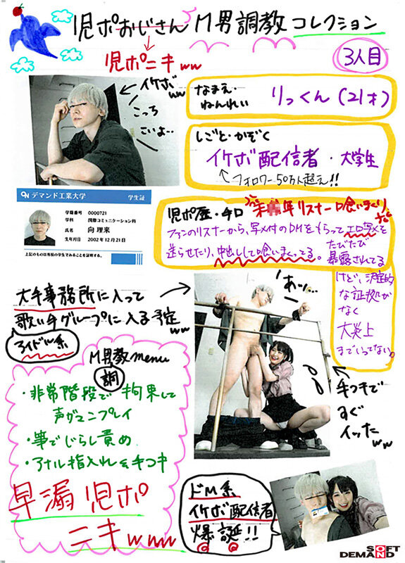 サンプル画像 13