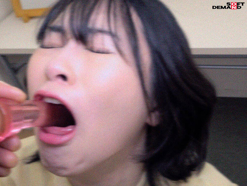 サンプル画像 13