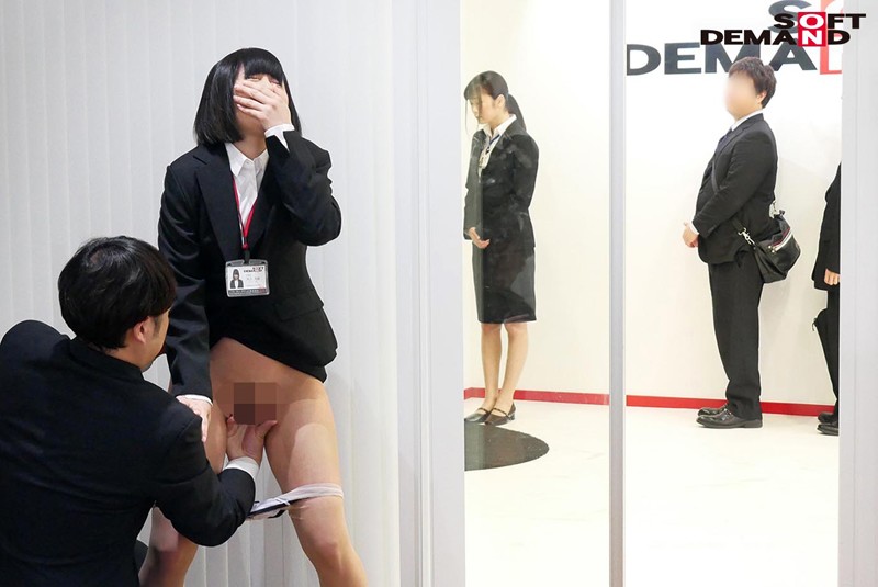 サンプル画像 11