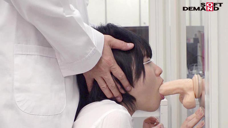 サンプル画像 19