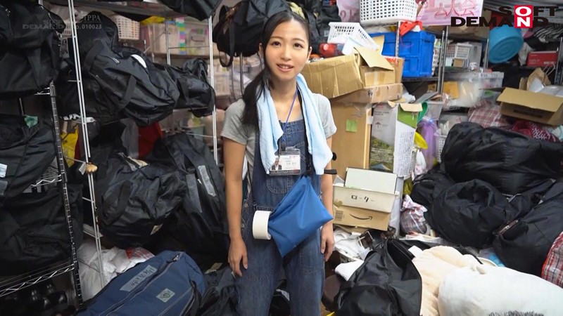 サンプル画像 14