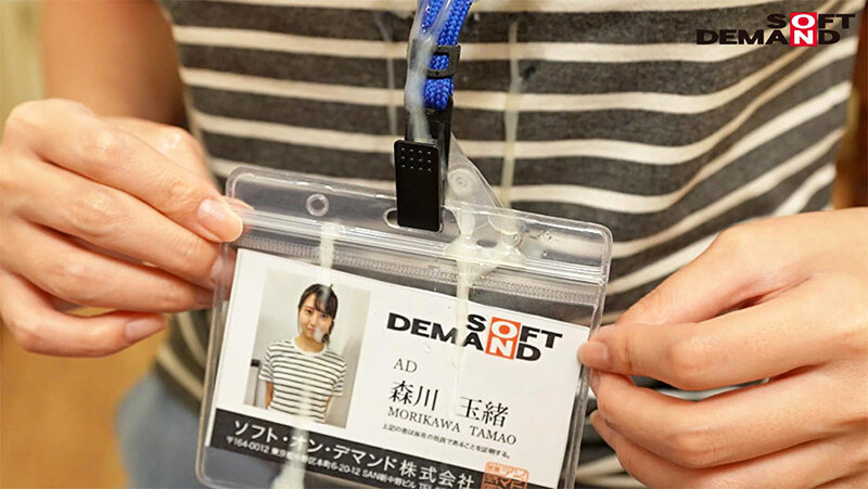 サンプル画像 11