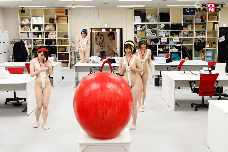 サンプル画像 11