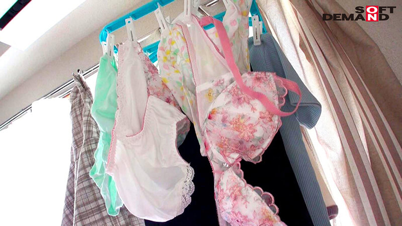 サンプル画像 5