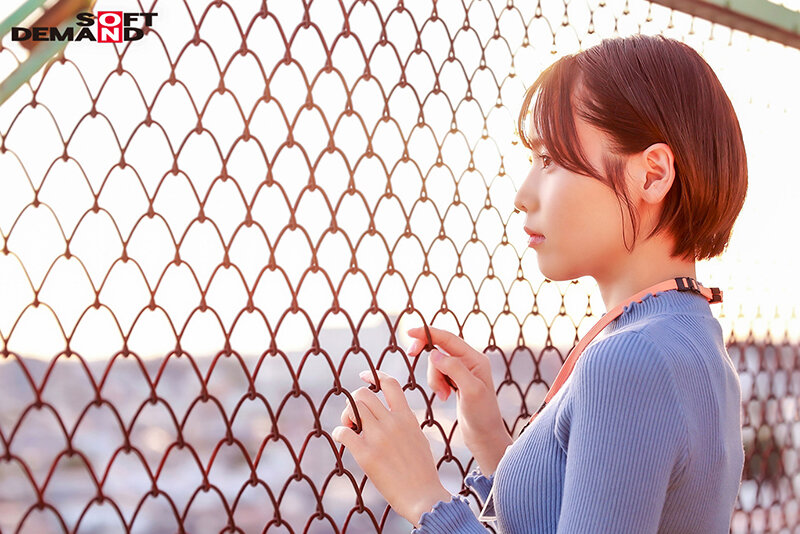 サンプル画像 7