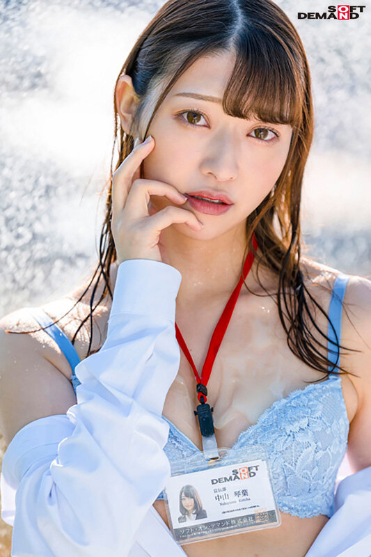 サンプル画像 17