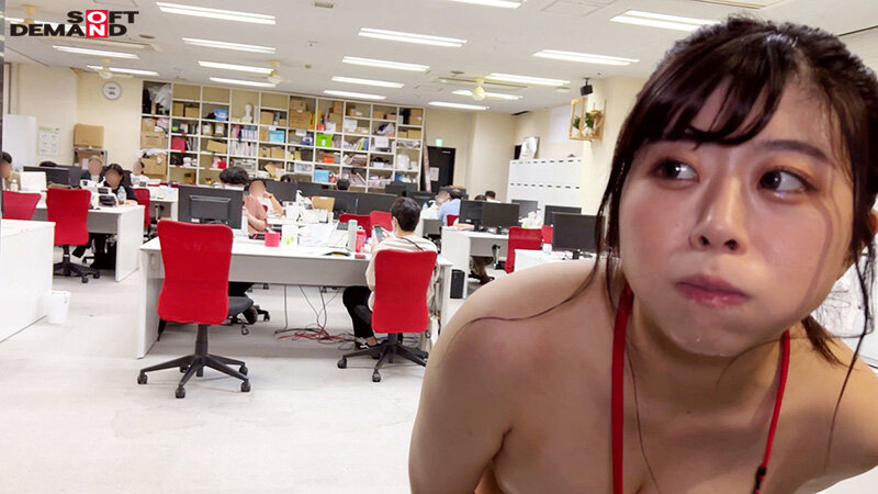 サンプル画像 13