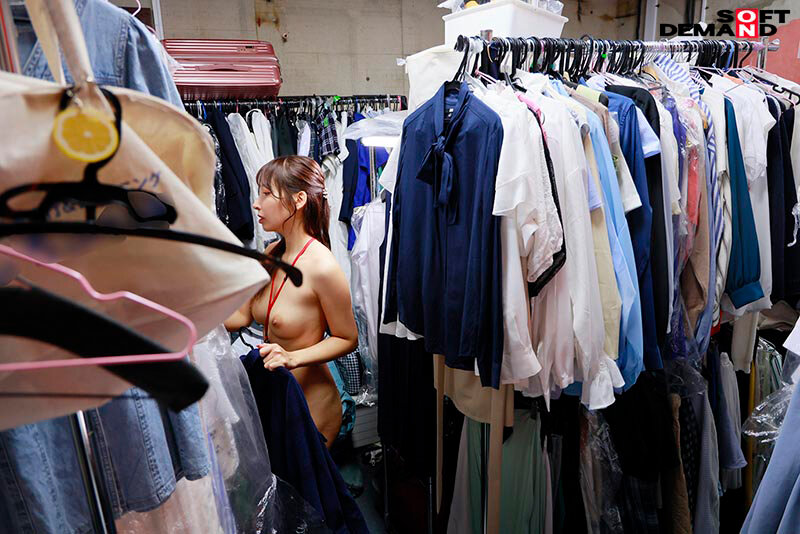 サンプル画像 5